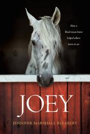 Joey by Jennifer Bleakley